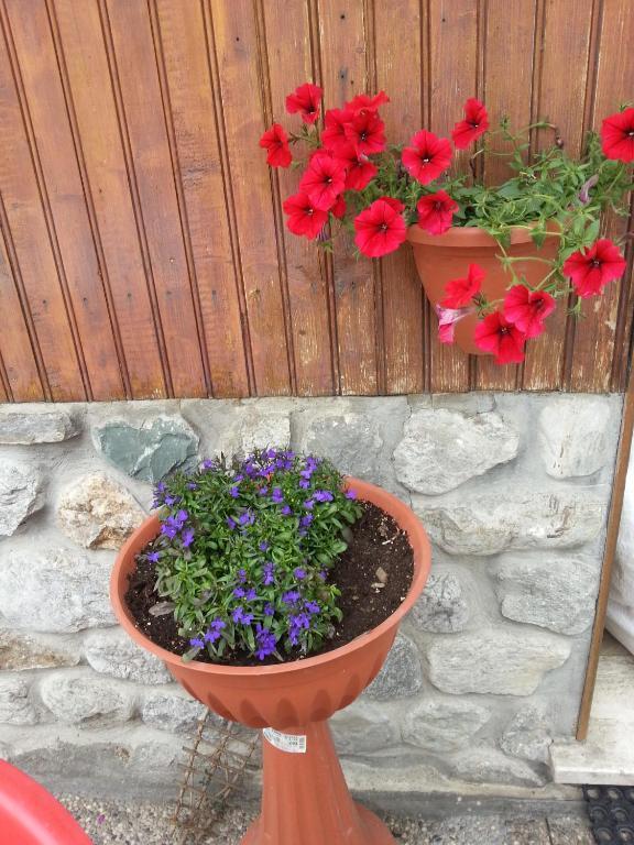 Chalet Monte Nebius Vinadio Kültér fotó